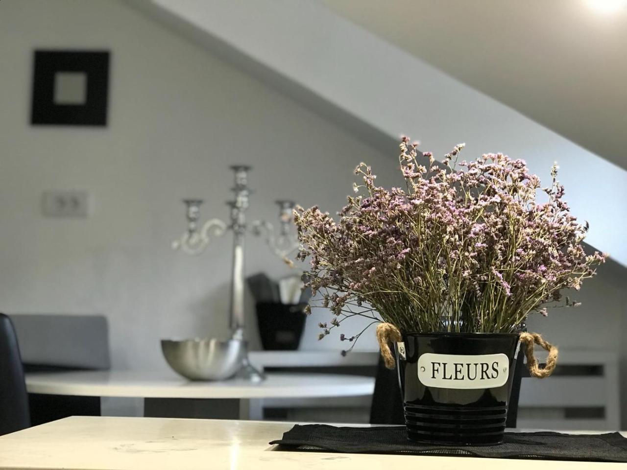 Stan Na Dan Angel Apartman Újvidék Kültér fotó