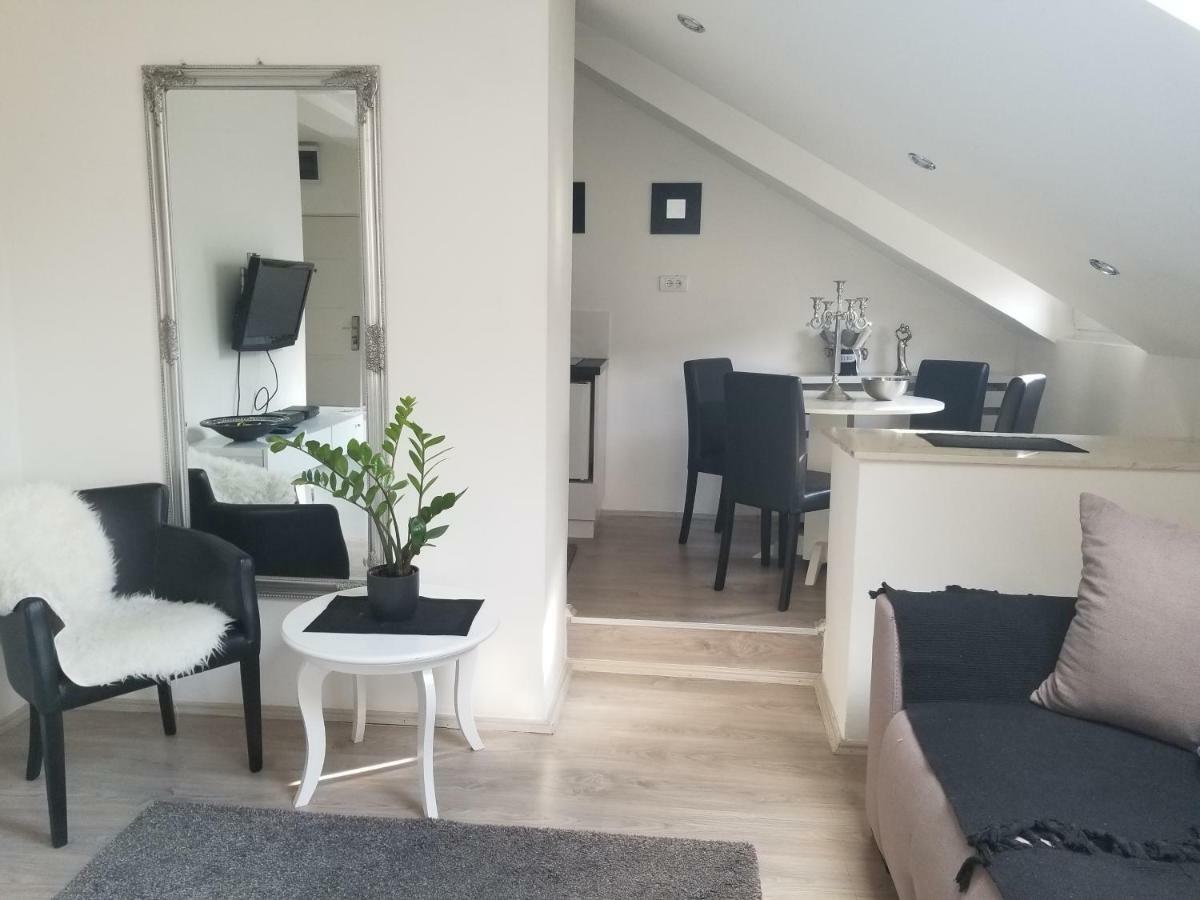 Stan Na Dan Angel Apartman Újvidék Kültér fotó